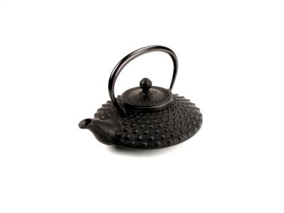 Shogun Cast Iron Teapot